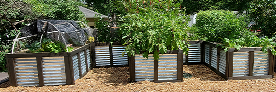 Raised Bed Building